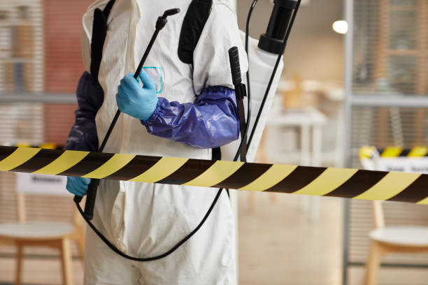 Professional Sewage Cleanup technician working in Sterling, NE